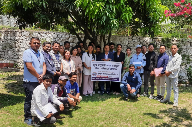 राष्ट्रिय बीमा कम्पनीको उपशाखा डोटीमा कृषि तथा पशुपन्छी बीमा अभिकर्ता तालिम सम्पन्न