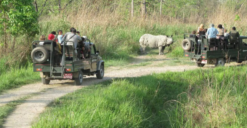 असार १६ गतेदेखि चितवन राष्ट्रिय निकुञ्ज सफारी बन्द हुने