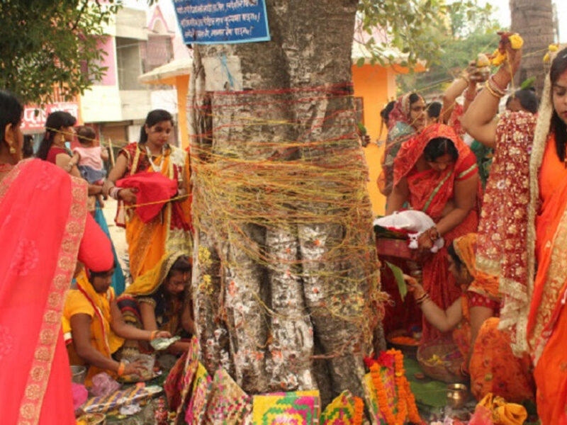 मिथिलाञ्चलमा आज वटसावित्री पर्व मनाइँदै