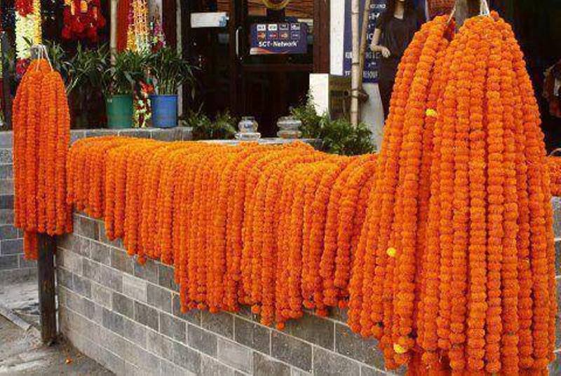 तिहारमा फूल बेच्न काठमाडौं महानगरले तोक्यो ३२ ठाउँ (सूचीसहित)