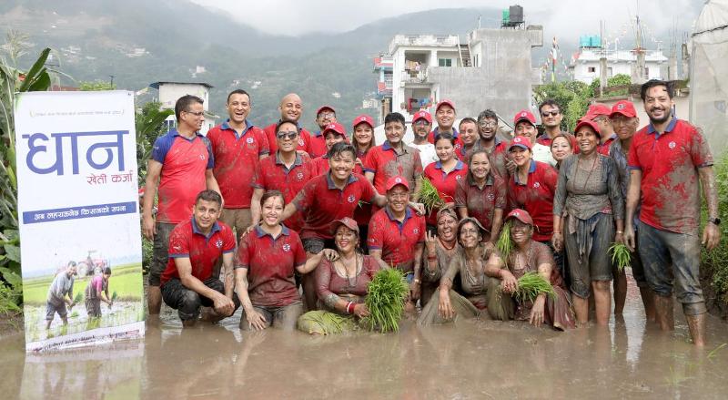 धान दिवसको अवसरमा ग्लोबल आइएमई बैंकले ल्यायो ‘धान खेती कर्जा’