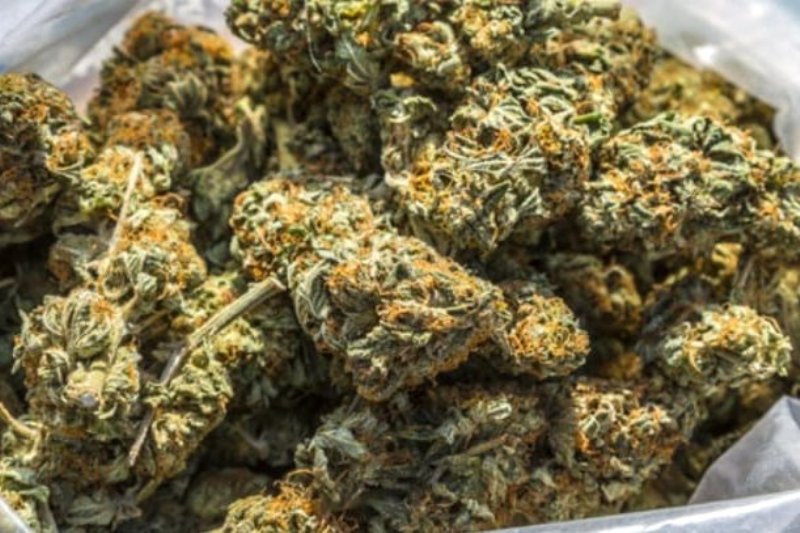 धादिङबाट ९० किलो गाँजासहित २ जना पक्राउ