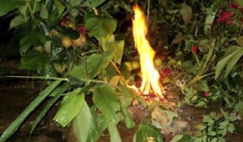 आज साउन १, लुतो फाल्ने फाल्ने दिन