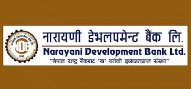 नारायणी डेभलपमेन्ट बैंकको नयाँ सीईओमा पौडेल