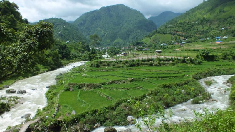 रुरु जलविद्युत परियोजनाको कम्पनी सचिवमा किशोर घिमिरे नियुक्त