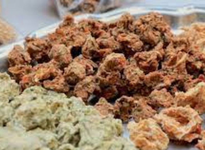 मस्यौराको गुणस्तर मापदण्ड राजपत्रमा प्रकाशित, कस्तो बनाउन पाइन्छ ?