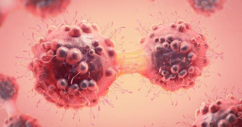 डब्ल्यूएचओ–आईएआरसी अध्ययन : विश्वभर ४० प्रतिशत क्यान्सर रोक्न सकिने