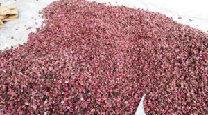 आठ महिनामा १३.३६ अर्बको कफी, चिया र मसलाजन्य सामग्री निर्यात