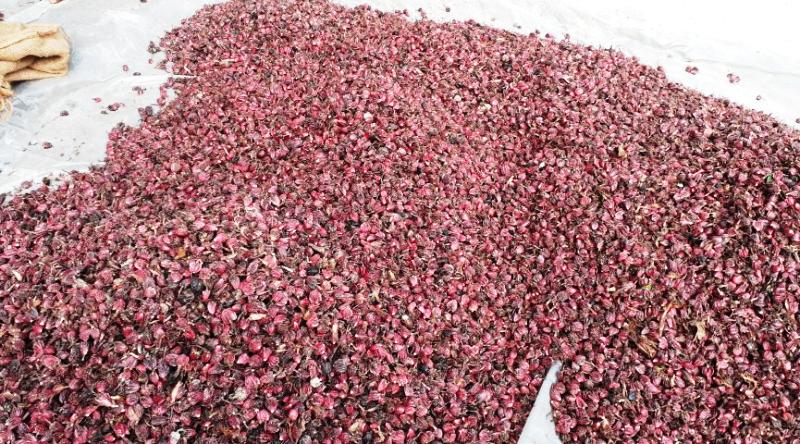 आठ महिनामा १३.३६ अर्बको कफी, चिया र मसलाजन्य सामग्री निर्यात