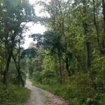 कार्बन व्यापारबाट नेपालले पायो २५ अर्ब १२ करोड रुपैयाँ