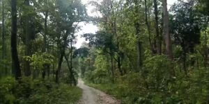 कार्बन व्यापारबाट नेपालले पायो २५ अर्ब १२ करोड रुपैयाँ
