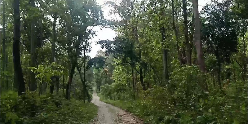 कार्बन व्यापारबाट नेपालले पायो २५ अर्ब १२ करोड रुपैयाँ