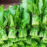 रायोको सागमा भेटियो अत्यधिक विषादी