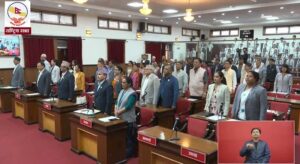 राष्ट्रियसभामा आत्मदाह प्रकरणमा निष्पक्ष छानबिन गर्न माग