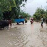 नारायणीको बाढीले सुस्तामा वितण्डा, ४ सयभन्दा बढीको उद्वार