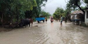 नारायणीको बाढीले सुस्तामा वितण्डा, ४ सयभन्दा बढीको उद्वार